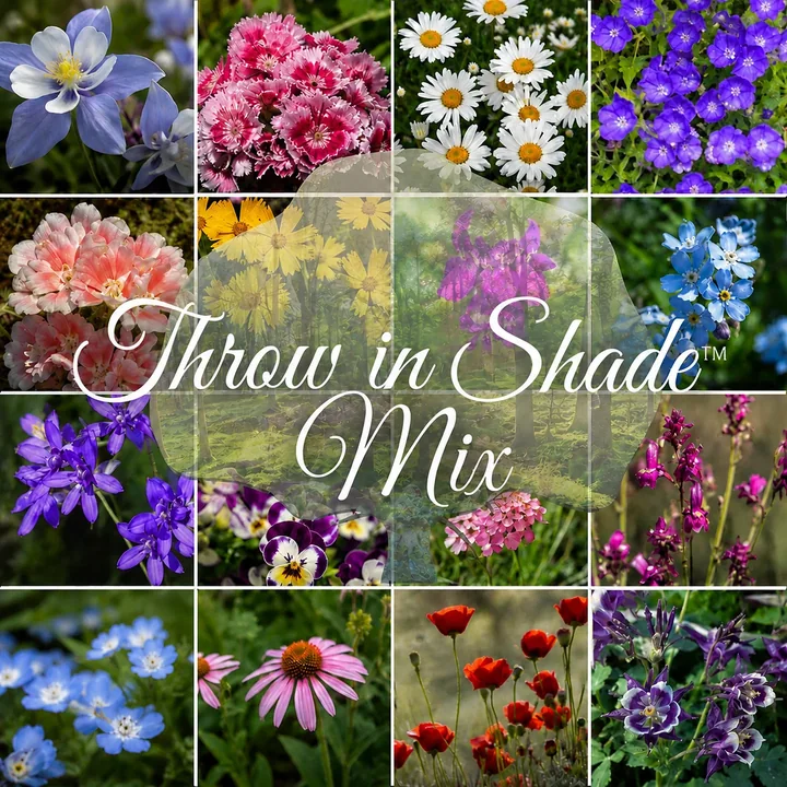 Throw in Shade™ seed artwork
