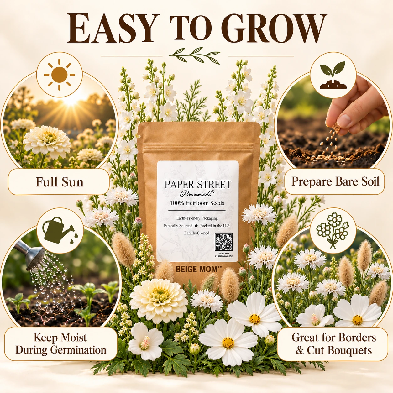 Preparing a sunny planting and caring for seedlings