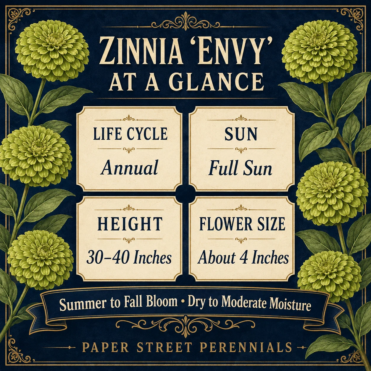 Envy Zinnia product image