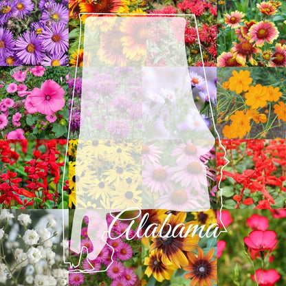 State Mix - Alabama Bulk Perennial Wildflower Seed Mix