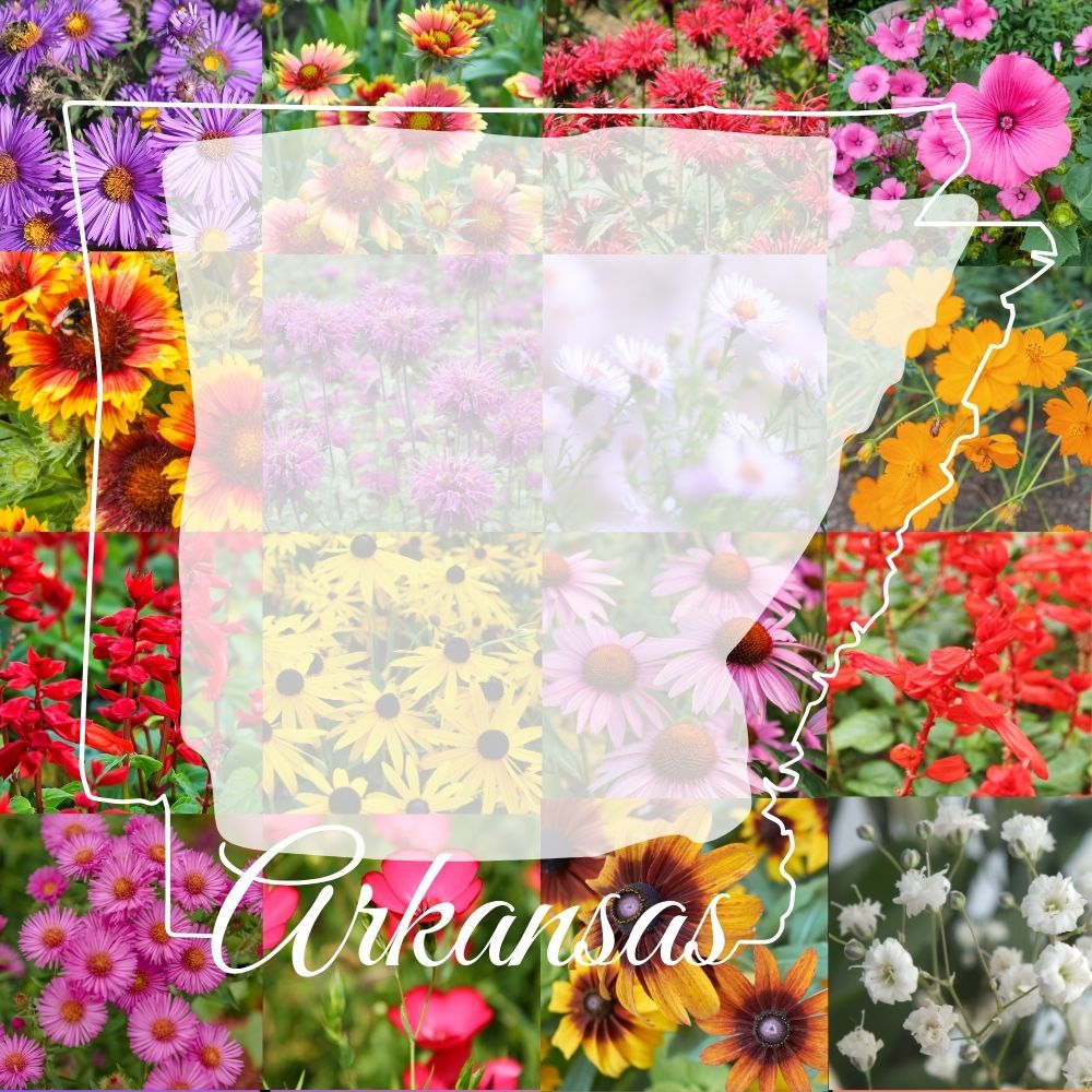 State Mix - Arkansas Bulk Perennial Wildflower Seed Mix