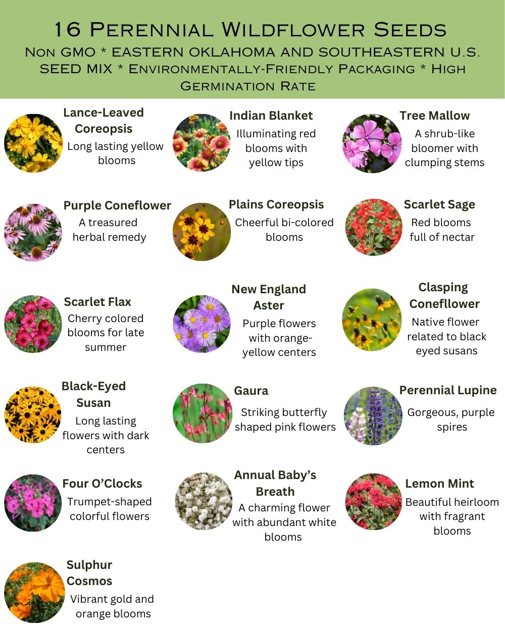 State Mix - East Oklahoma Bulk Perennial Wildflower Seed Mix