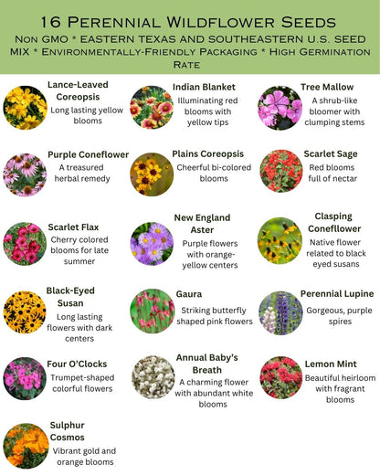 State Mix - Eastern Texas Bulk Perennial Wildflower Seed Mix