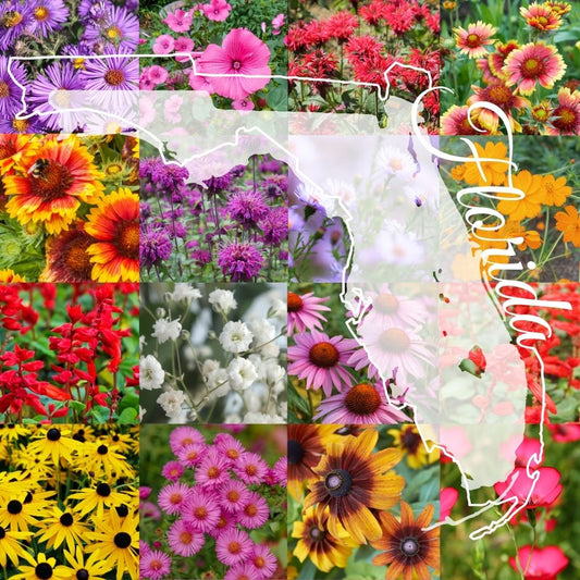 State Mix - Northern Florida Bulk Perennial Wildflower Seed Mix