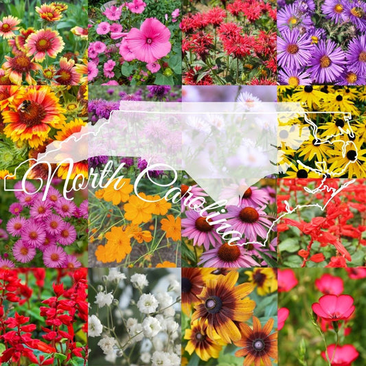 State Mix - North Carolina Bulk Perennial Wildflower Seed Mix