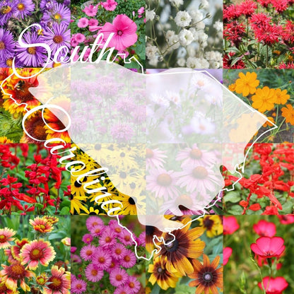 State Mix - South Carolina Bulk Perennial Wildflower Seed Mix