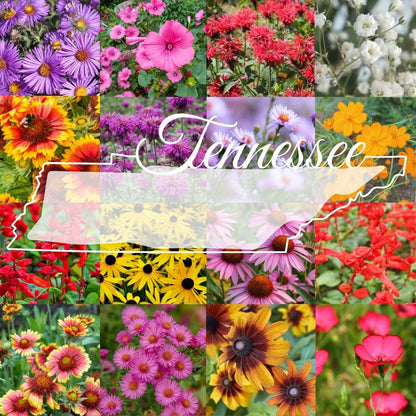 State Mix - Tennessee Bulk Perennial Wildflower Seed Mix