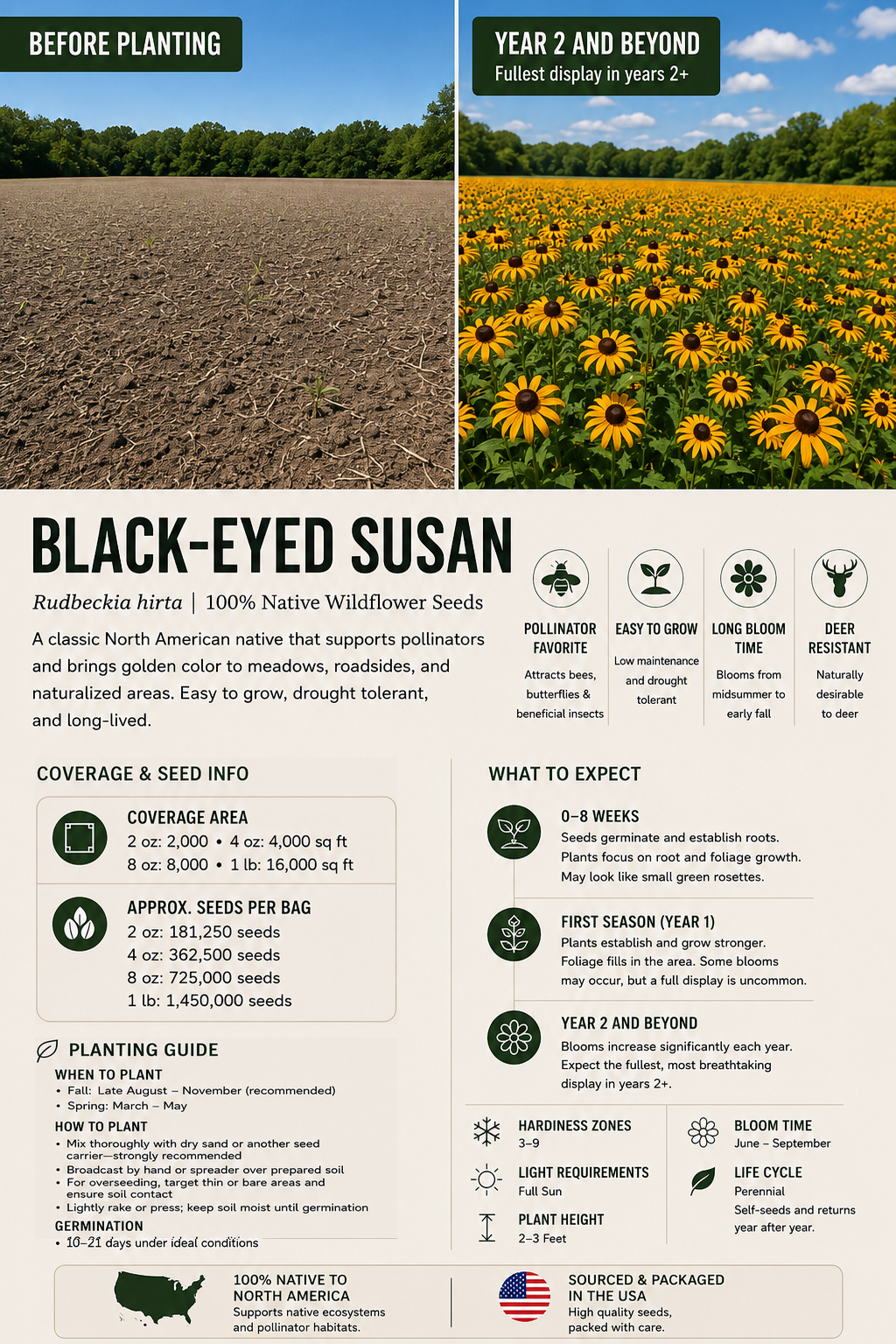 Black-eyed Susan planting and species guide