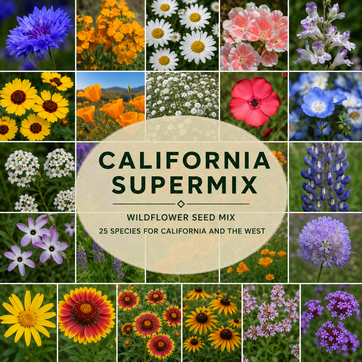 California Supermix flower collage