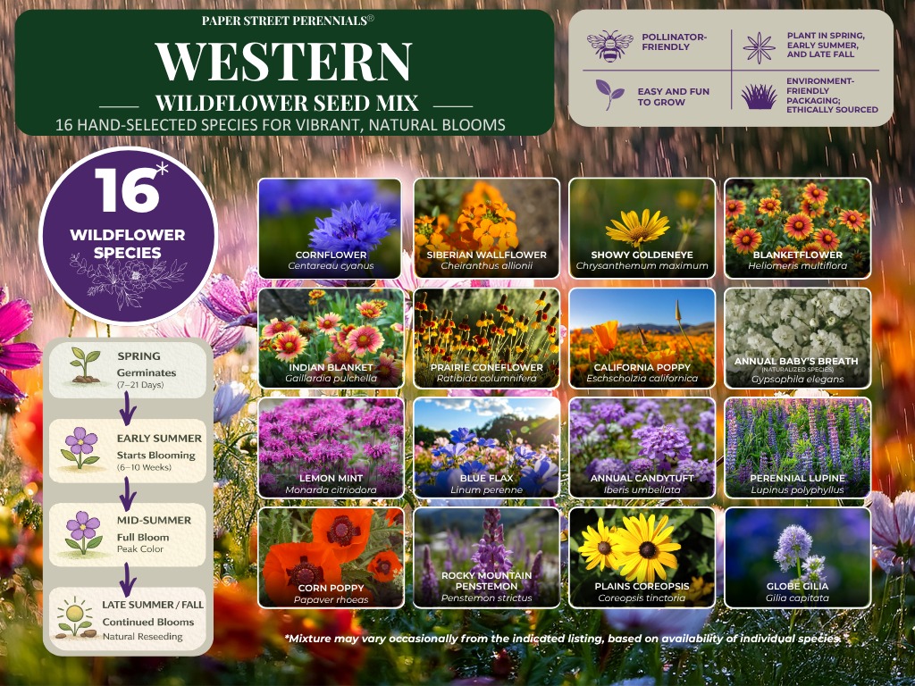 Western Wildflower Mix species guide
